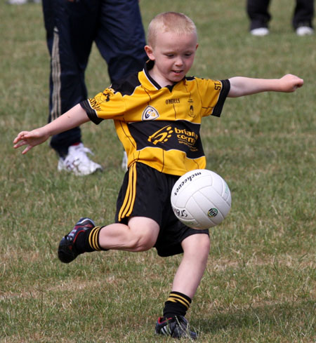 Action from the under 8 blitz against Saint Eunan.