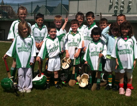 Aodh Ruadh hosts an under 8 hurling blitz.