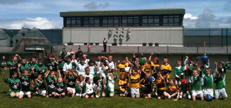 Aodh Ruadh hosts an under 8 hurling blitz.