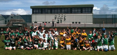 Aodh Ruadh hosts an under 8 hurling blitz.