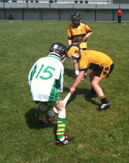 Aodh Ruadh hosts an under 8 hurling blitz.