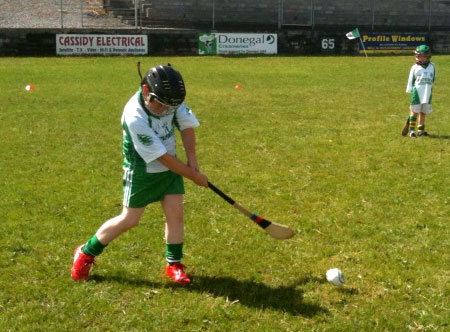 Aodh Ruadh hosts an under 8 hurling blitz.