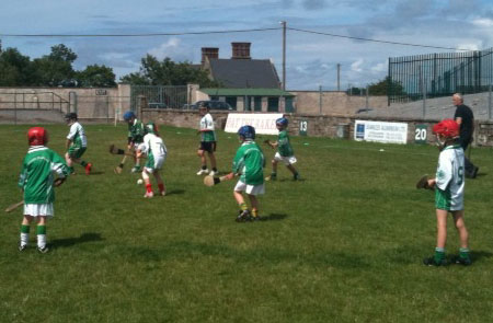 Aodh Ruadh hosts an under 8 hurling blitz.