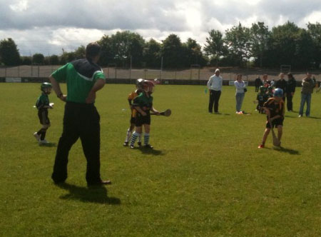 Aodh Ruadh hosts an under 8 hurling blitz.