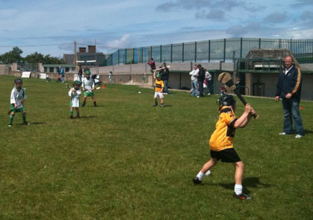 Aodh Ruadh hosts an under 8 hurling blitz.