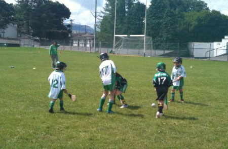 Aodh Ruadh hosts an under 8 hurling blitz.