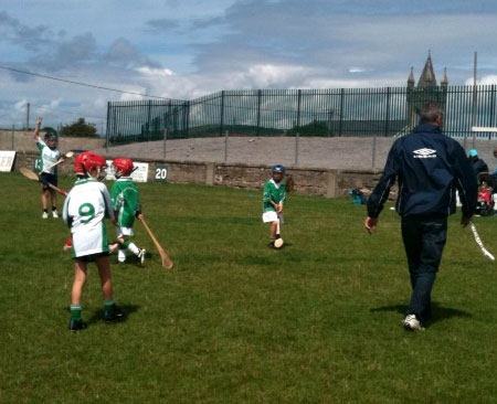 Aodh Ruadh hosts an under 8 hurling blitz.