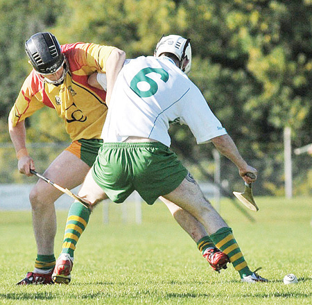 Aodh Ruadh take the junior hurling championship title.