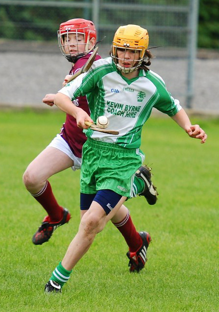 Action from the 2010 Aodh O Dalaigh tournament.