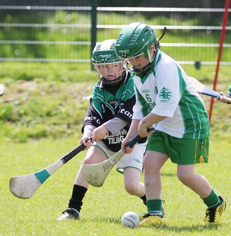 Action from the  under 8 blitz in Ballyshannon.