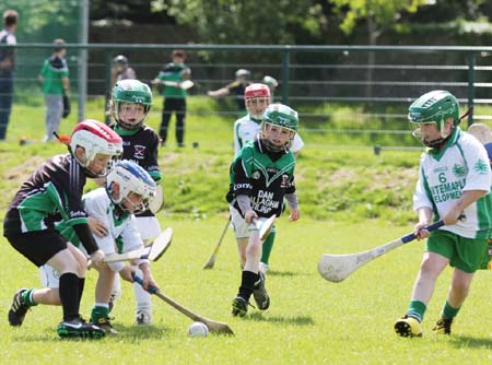 Action from the  under 8 blitz in Ballyshannon.