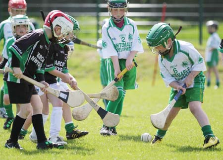 Action from the  under 8 blitz in Ballyshannon.