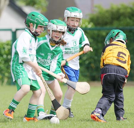 Action from the  under 8 blitz in Ballyshannon.