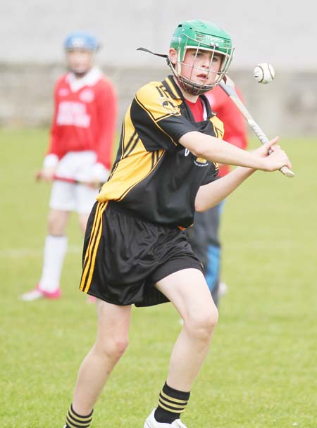 Action from the under 14 hurling blitz at Father Tierney Park.