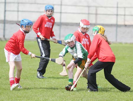 Action from the under 14 hurling blitz at Father Tierney Park.