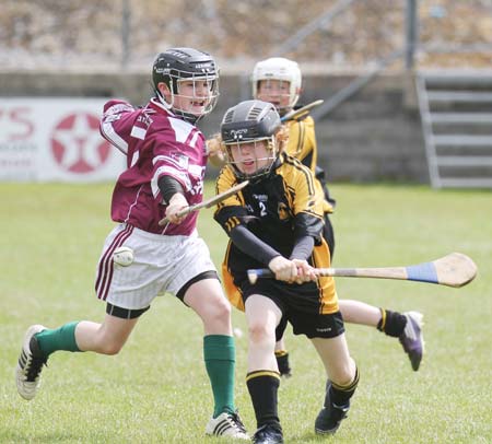 Action from the under 14 hurling blitz at Father Tierney Park.