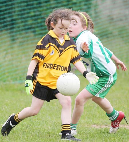 Action from the under 12 girls challenge between Aodh Ruadh and Erne Gaels in Pirc Aoidh Ruaidh.