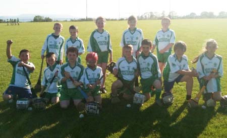 Players at the underage hurling blitz in Lisbellaw.