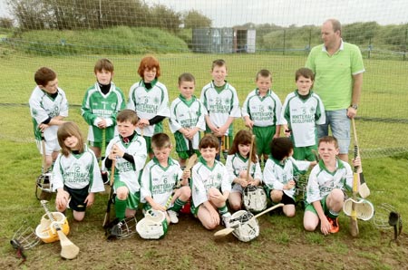 Aodh Ruadh under 8 hurlers who took part in the blitz in Letterkenny.