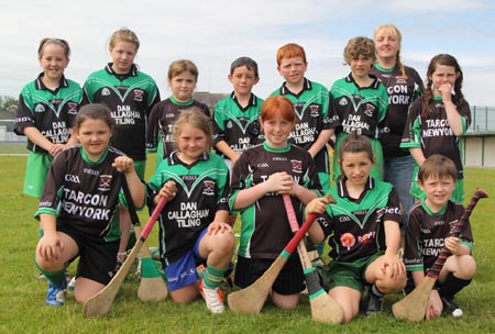 Action from the under 10 hurling blitz hosted by Aodh Ruadh.