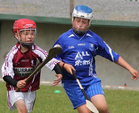 Action from the under 10 hurling blitz hosted by Aodh Ruadh.