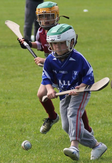 Action from the under 10 hurling blitz hosted by Aodh Ruadh.