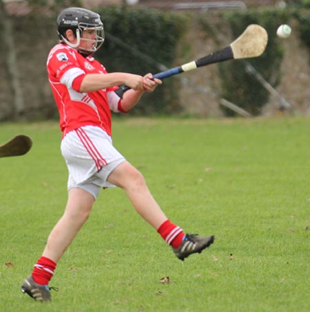 Action from the Aodh Ó Dlaigh tournament in Father Tierney Park.