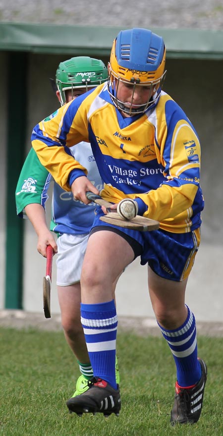 Action from the Aodh Ó Dlaigh tournament in Father Tierney Park.