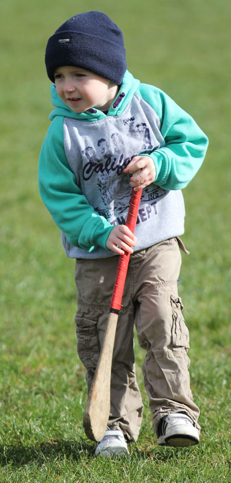 Scenes from the first underage hurling session of 2012.