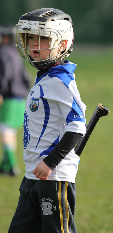 Scenes from the first underage hurling session of 2012.