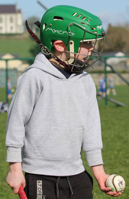 Scenes from the first underage hurling session of 2012.