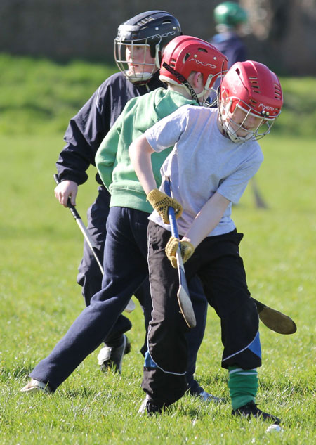 Scenes from the first underage hurling session of 2012.