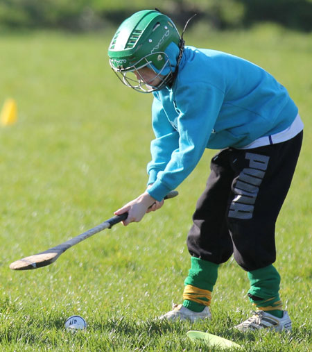 Scenes from the first underage hurling session of 2012.