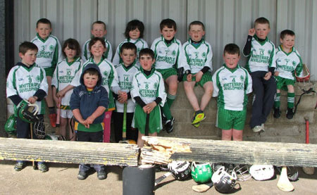 Action from the under 8 hurling blitz at Setanta.