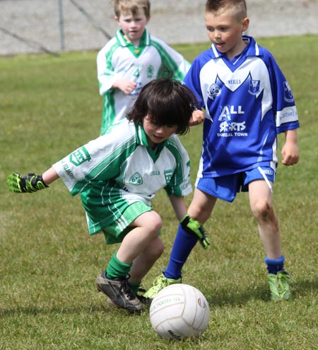 Action from the under 8 county blitz in Father Tierney Park.