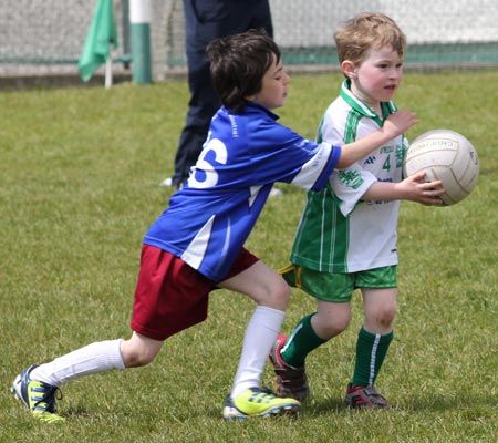 Action from the under 8 county blitz in Father Tierney Park.