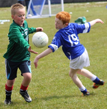 Action from the under 8 county blitz in Father Tierney Park.