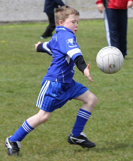 Action from the under 8 county blitz in Father Tierney Park.
