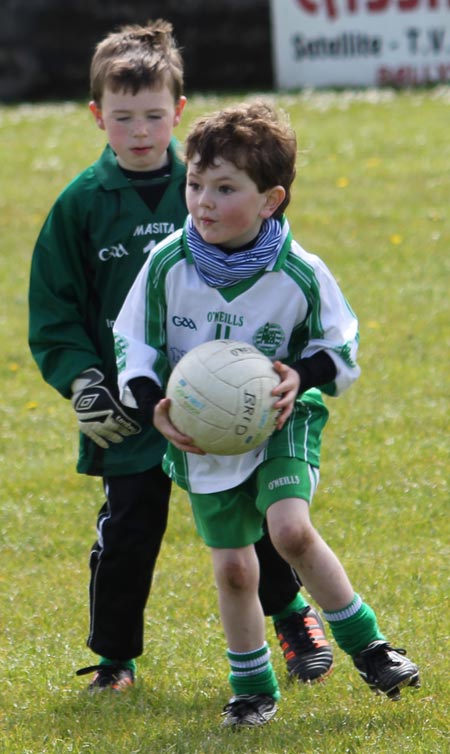 Action from the under 8 county blitz in Father Tierney Park.