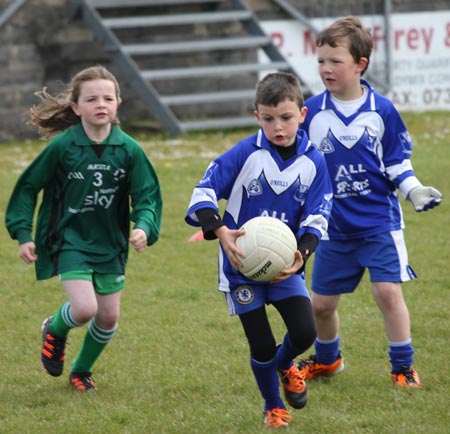 Action from the under 8 county blitz in Father Tierney Park.