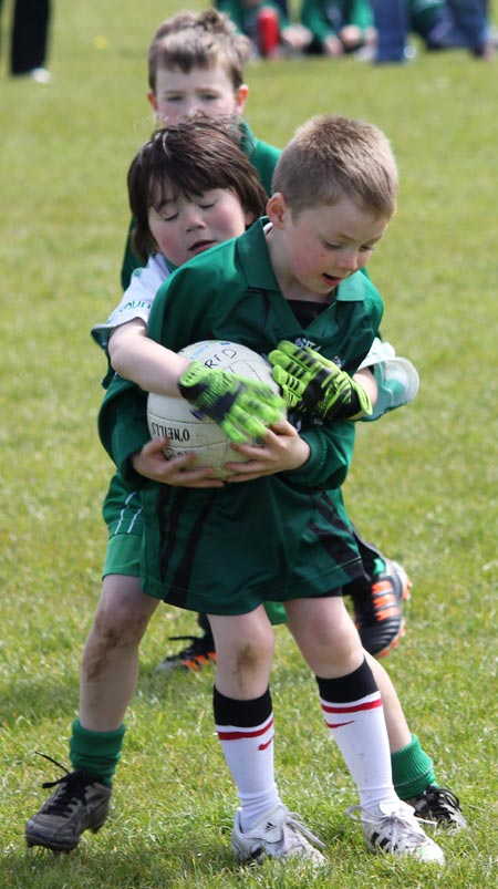 Action from the under 8 county blitz in Father Tierney Park.