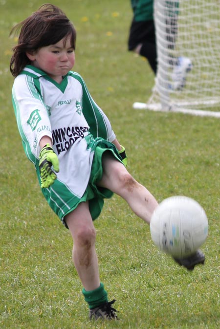 Action from the under 8 county blitz in Father Tierney Park.