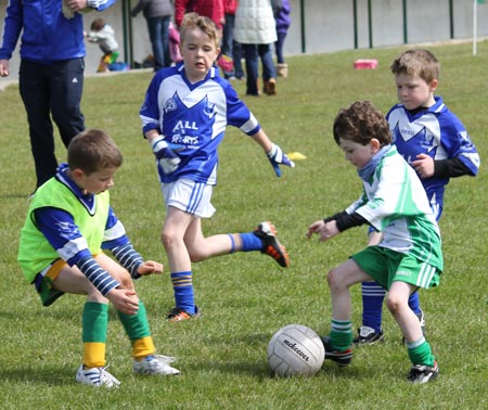 Action from the under 8 county blitz in Father Tierney Park.