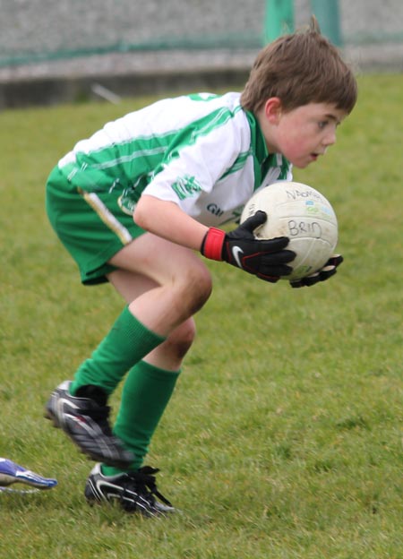 Action from the under 8 county blitz in Father Tierney Park.