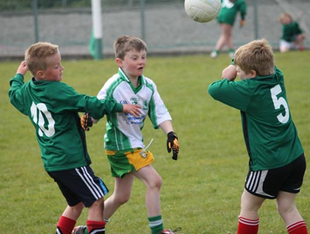 Action from the under 8 county blitz in Father Tierney Park.