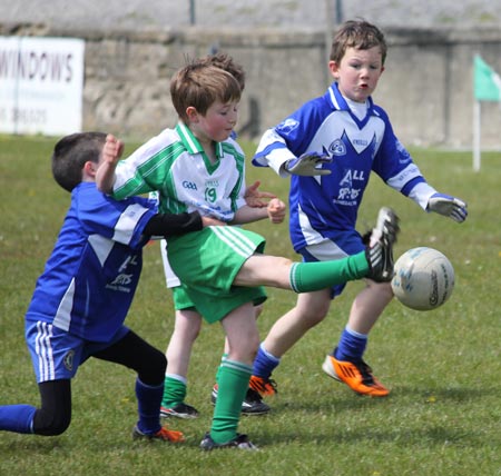 Action from the under 8 county blitz in Father Tierney Park.