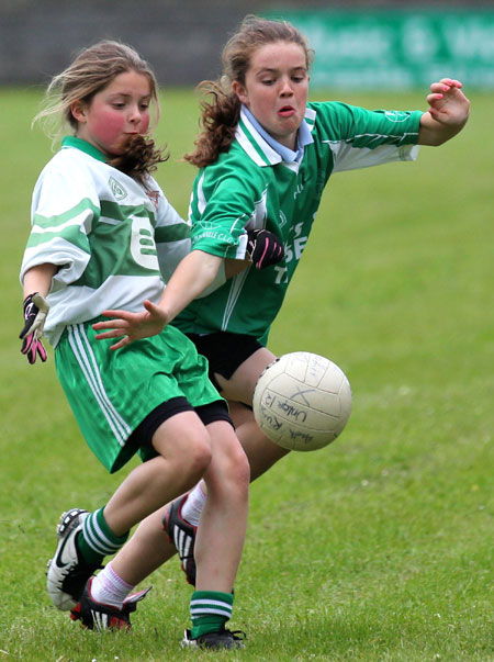 Action from the under 12 Willie Rogers tournament.