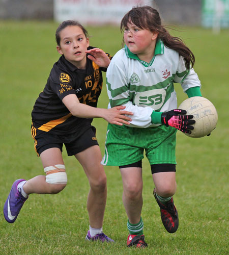 Action from the under 12 Willie Rogers tournament.