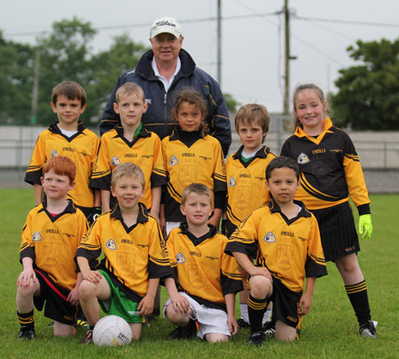 The Aodh Ruadh under 8 team which competed at the Ballyshannon blitz.