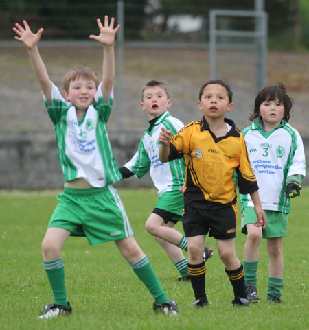 The Aodh Ruadh under 8 team which competed at the Ballyshannon blitz.